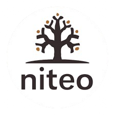Niteo Africa